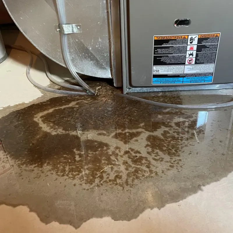 Pipe Burst and Leak Restoration in Felton, CA